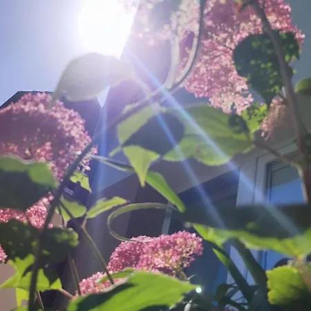 Private Voyage - Liptov Demänová Apartamento *