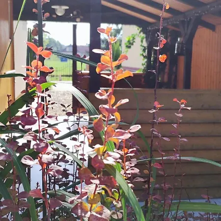 아파트 Privat Voyage With Pool Liptovský Mikuláš