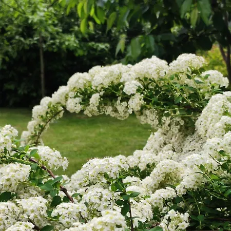 Private Voyage - Liptov Demaenova Apartment *