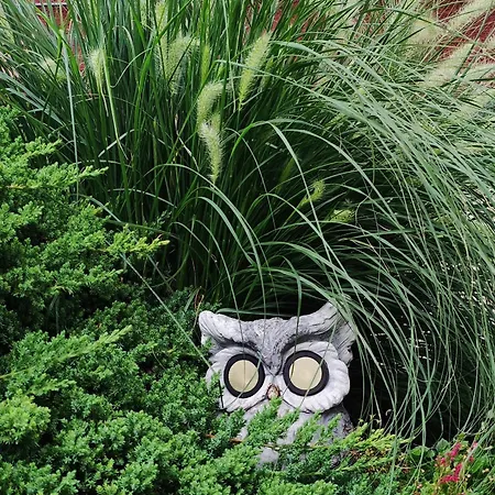 Private Voyage - Liptov Demaenova Apartment Liptovsky Mikulas