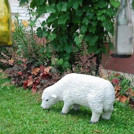 Private Voyage - Liptov Demaenova Apartment Liptovsky Mikulas