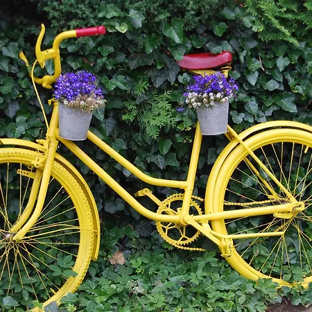 Private Voyage - Liptov Demaenova Apartment