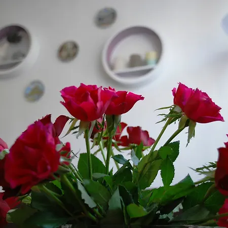 Private Voyage - Liptov Demaenova *