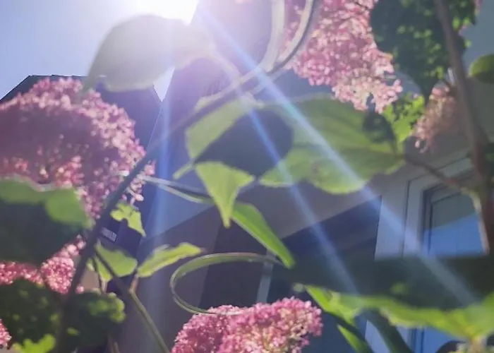 Private Voyage - Liptov Demaenova Lägenhet *