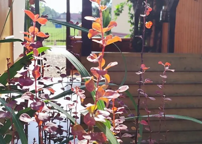 Lägenhet Private Voyage - Liptov Demaenova Liptovský Mikuláš