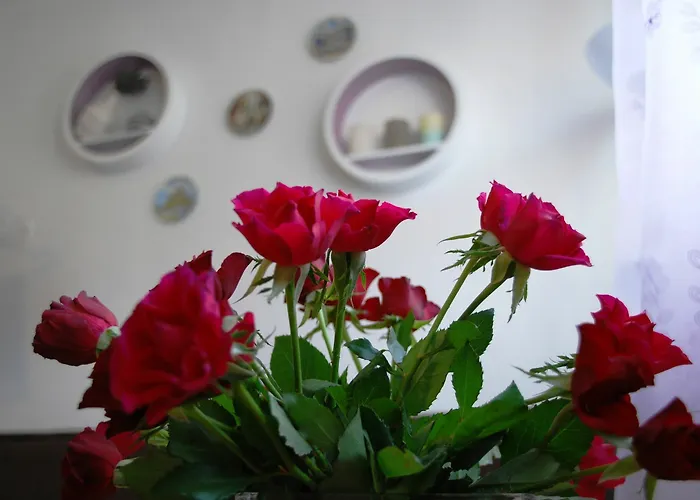 Private Voyage - Liptov Demaenova *